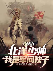 抗战:北洋少帅,我是军阀独子