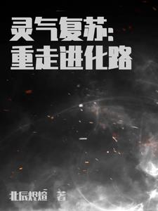 终极进化小说百度云